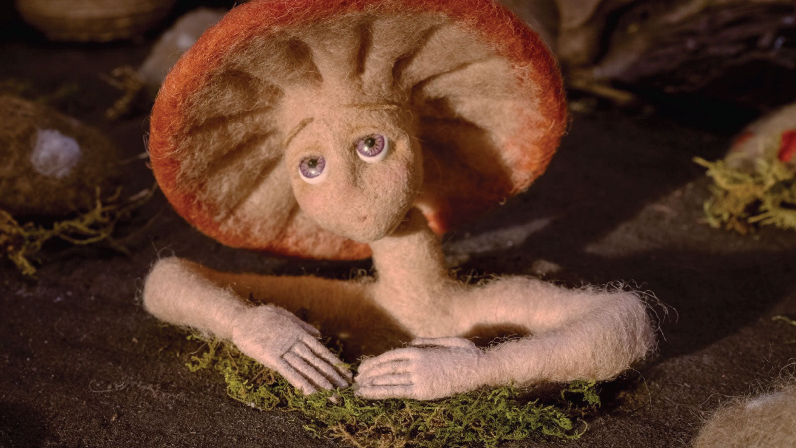 Amanita