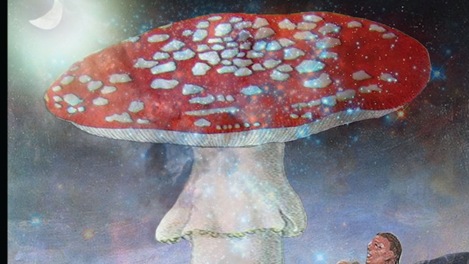 Kingdom Fungi