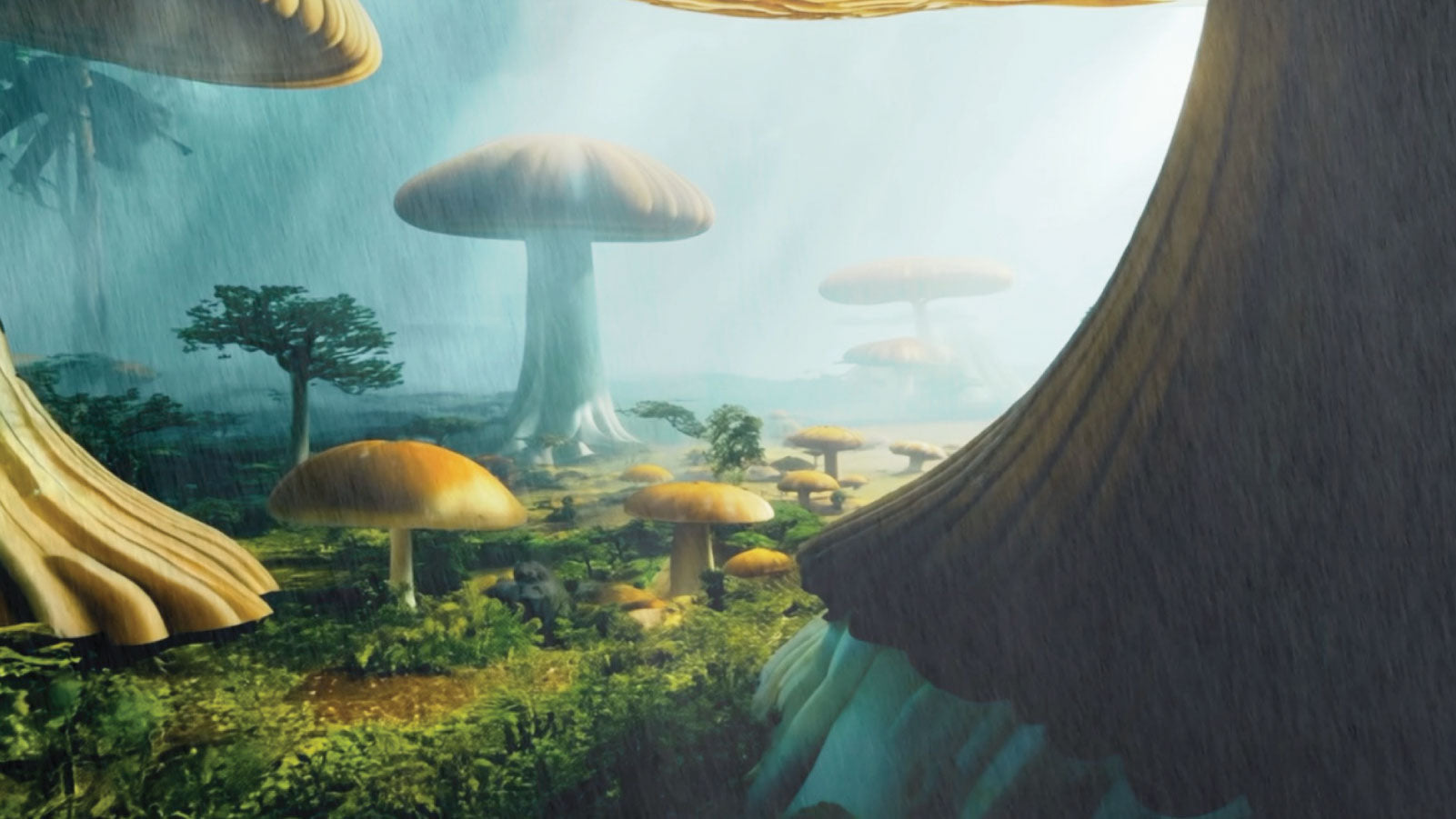 Misteria del Bosque (Mystery of the Forest)