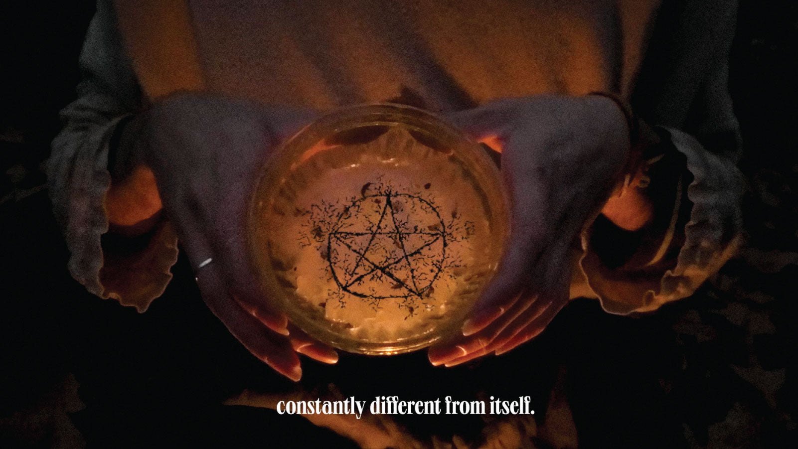 Mycelial Witchcraft