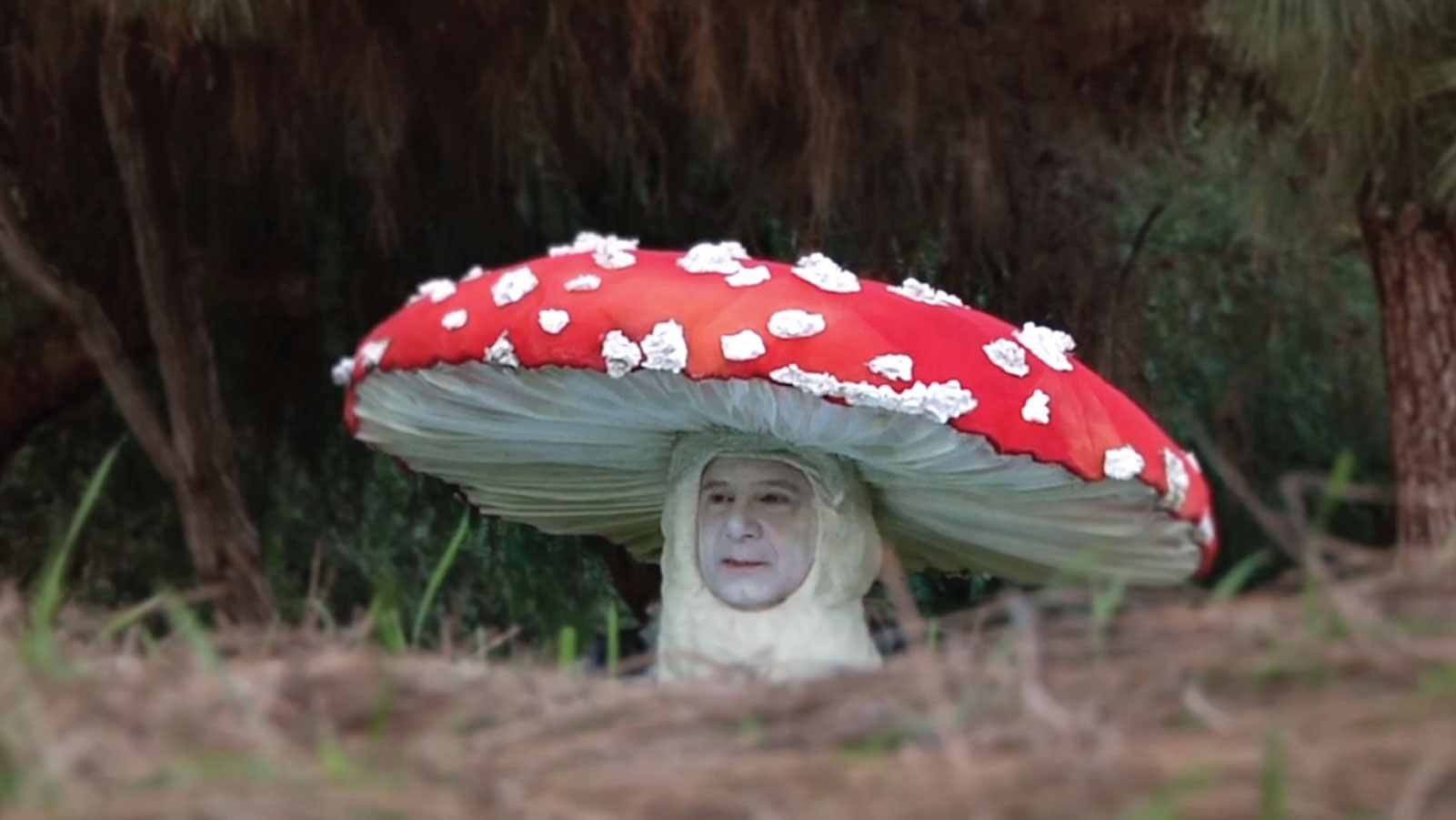 Fly Amanita