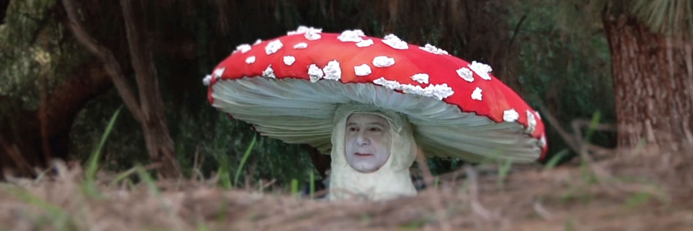 Fly Amanita