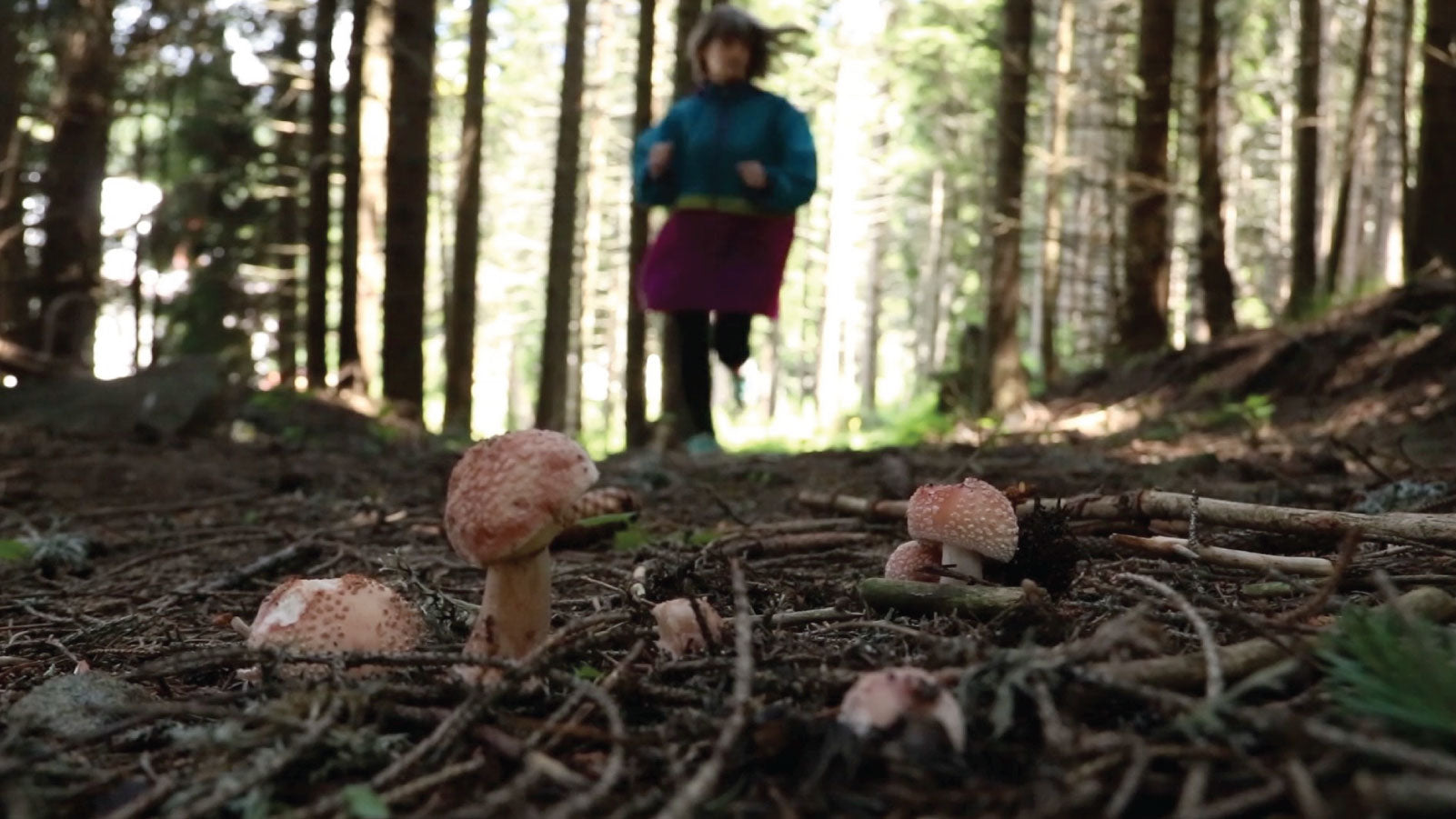 Mushroom Dummies