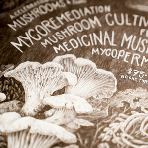 Poster close up with text and illustrations of mushrooms.