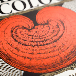 Close-up of Poster of the book cover of 'Radical Mycology'.