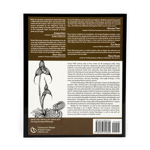 Back cover of a book with text and illustrations on a white background