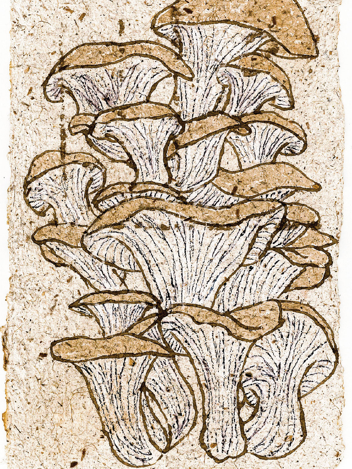 Papermaking with Mushrooms: A Postcard from the Convergence