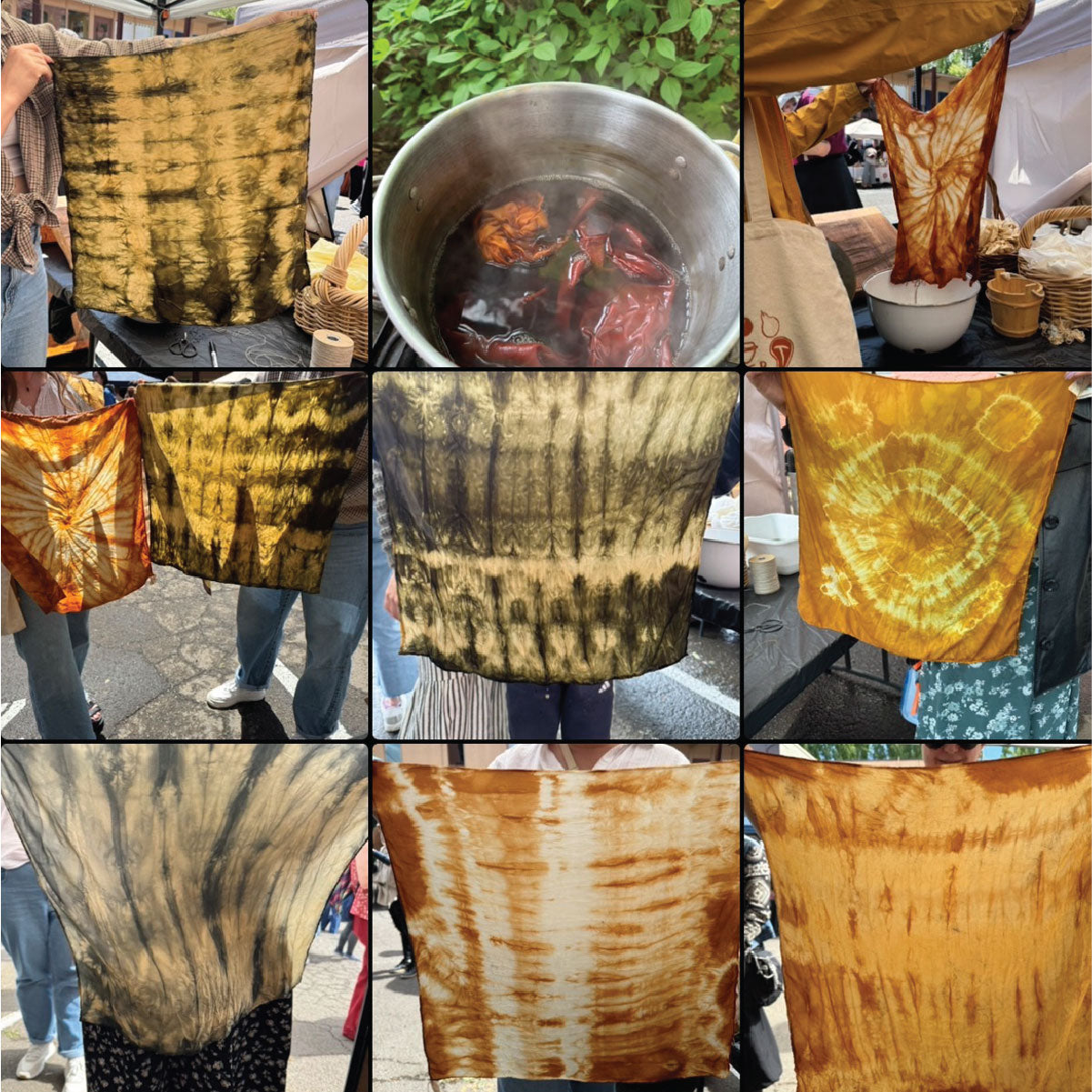Lichen Dyes Materials Fee