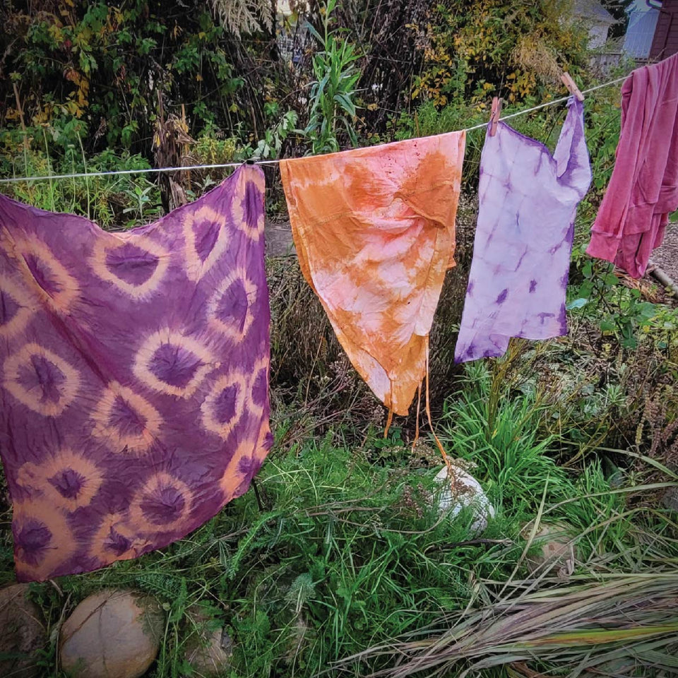 Lichen Dyes Materials Fee