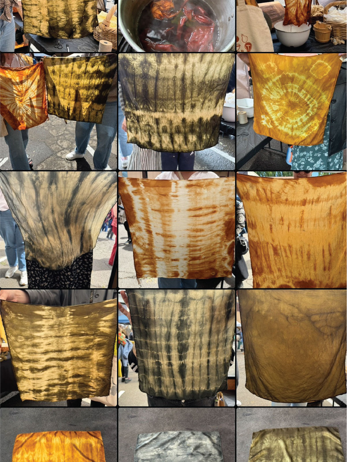 Lichen Dyes of the Pacific Northwest