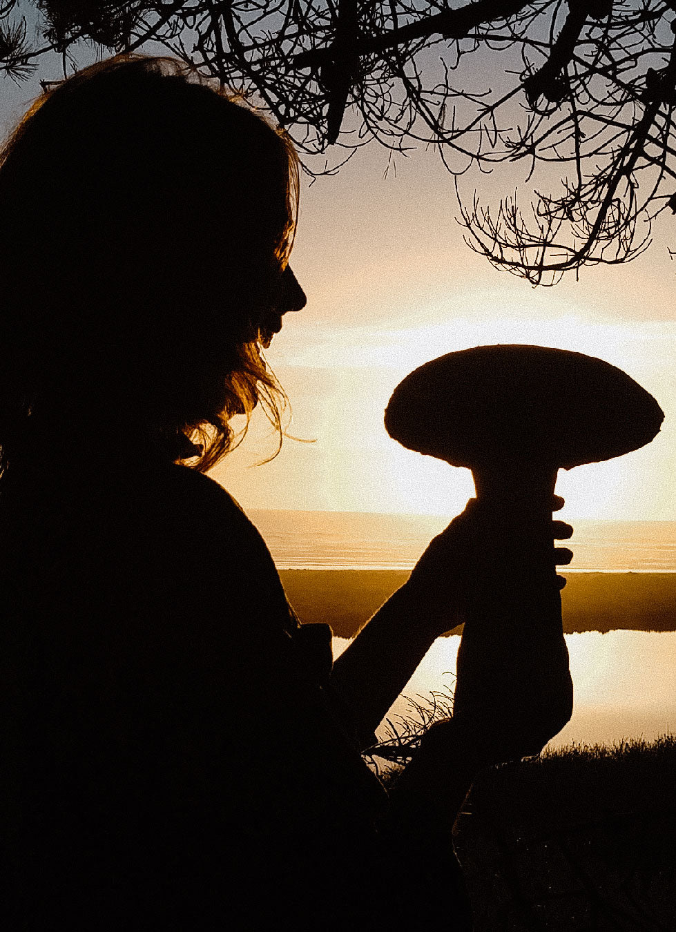 Happy person holding large mushroom