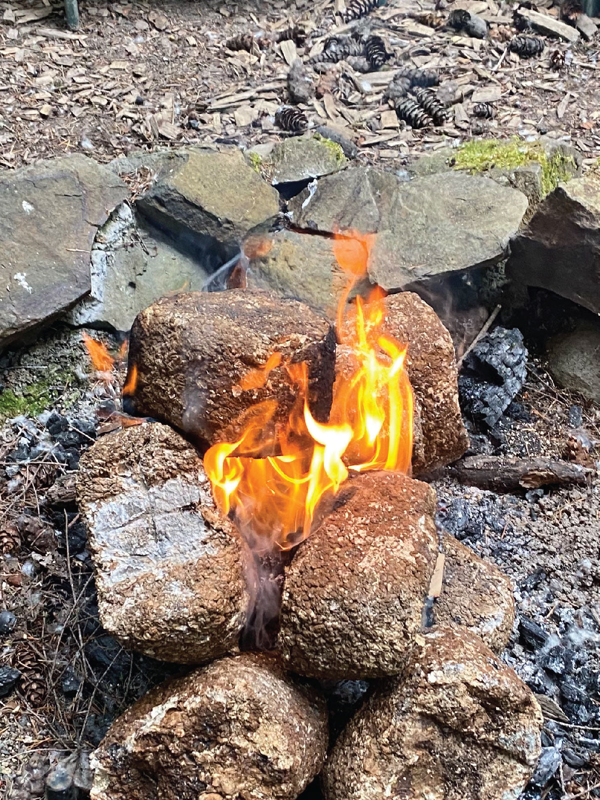 Mushroom Block Biochar