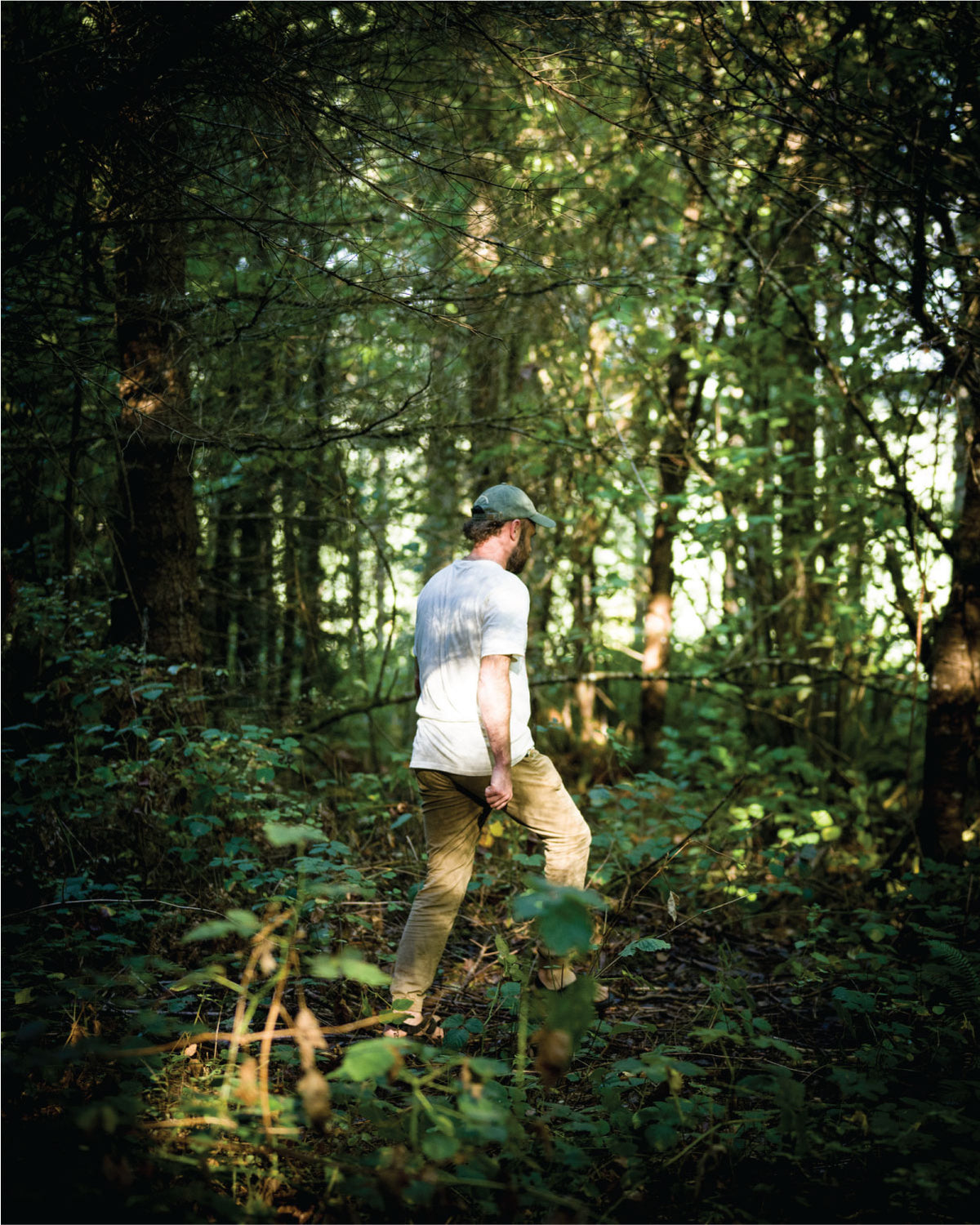 Deep Forest