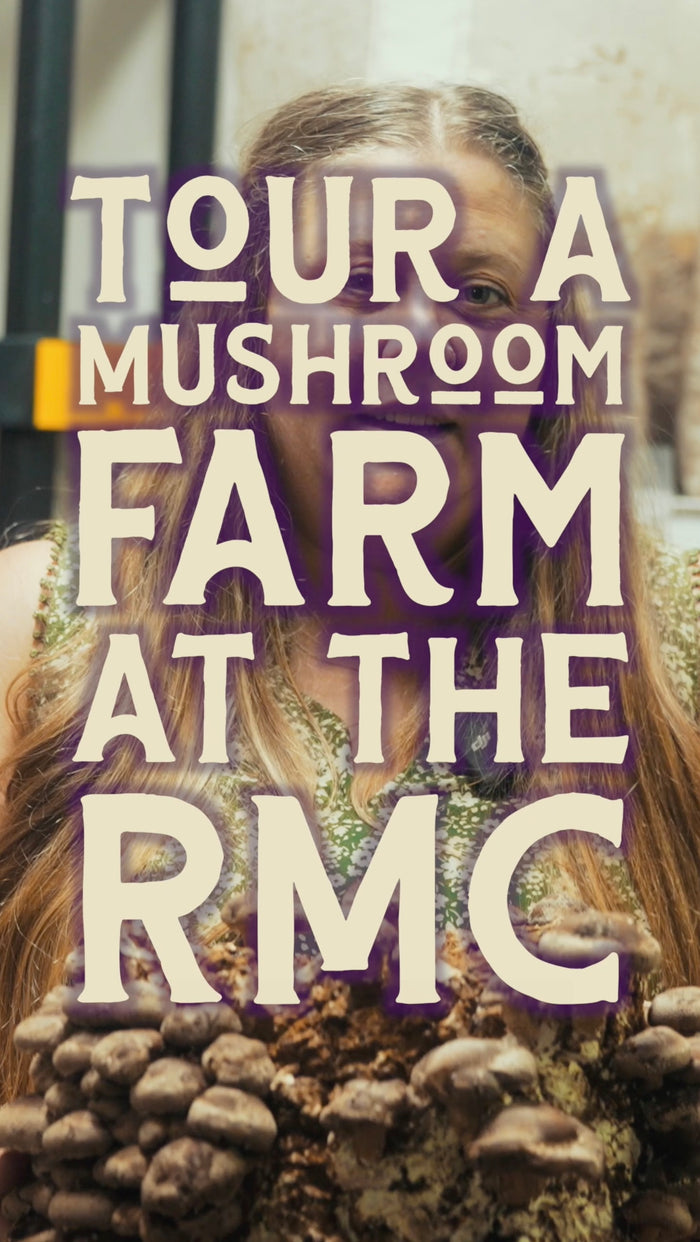 Brown Bottle Farm Mushroom Tour Teaser
