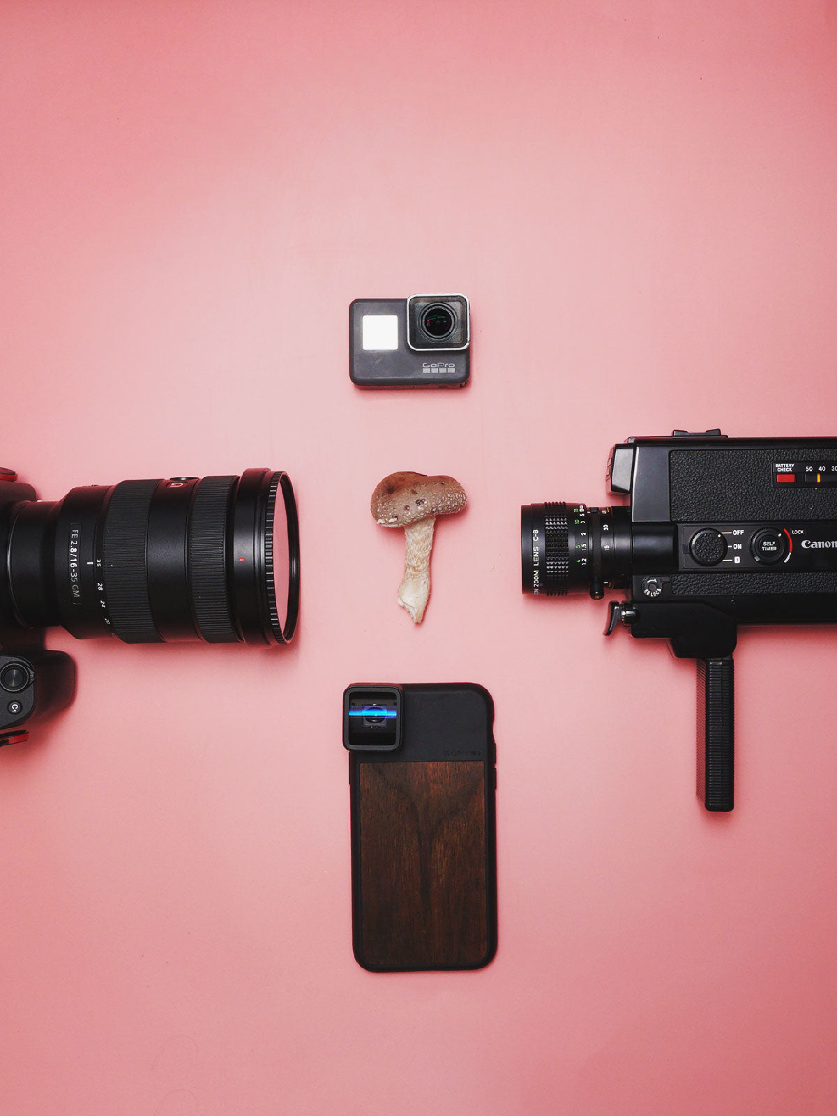 Cameras pointed at mushroom on table