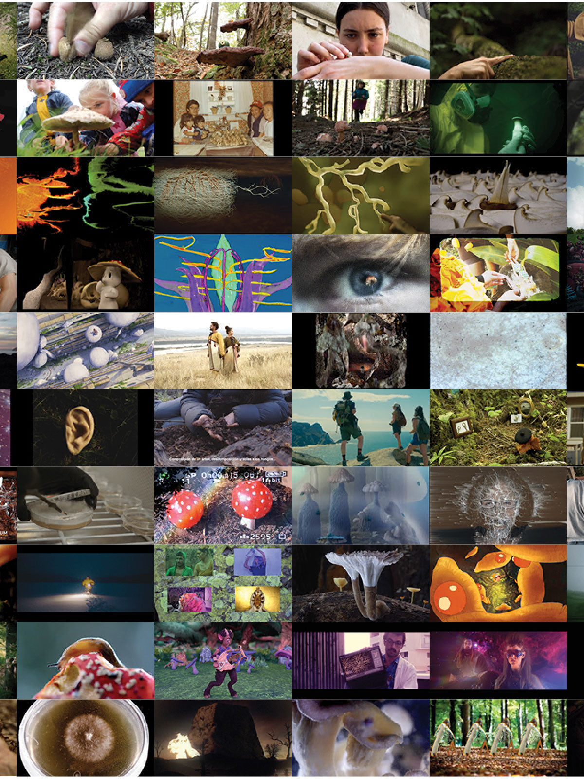 Collage of film screenshots