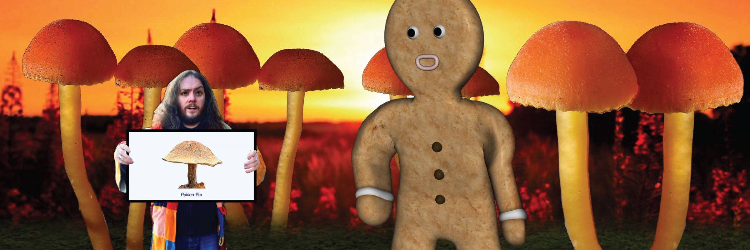 Fungi Forage