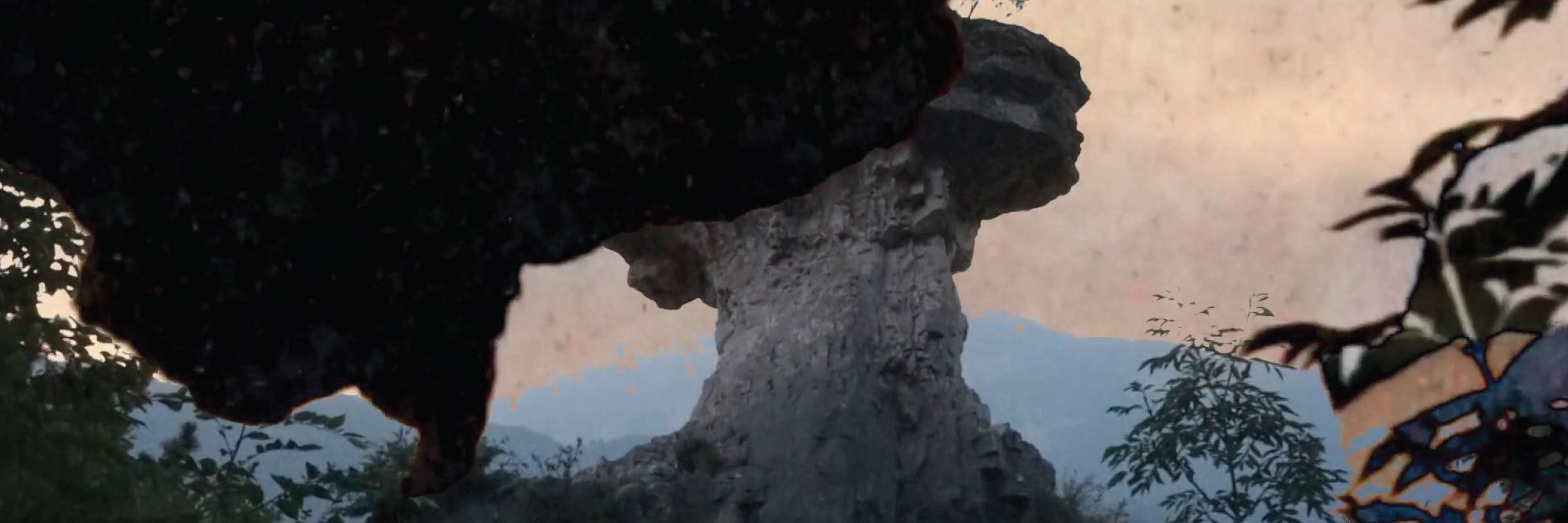 Il Fungo di Albaredo
