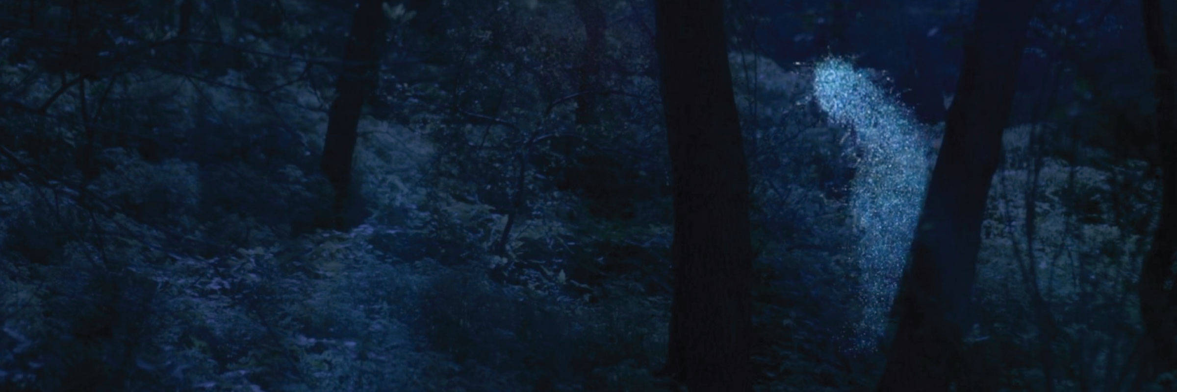 Interstice