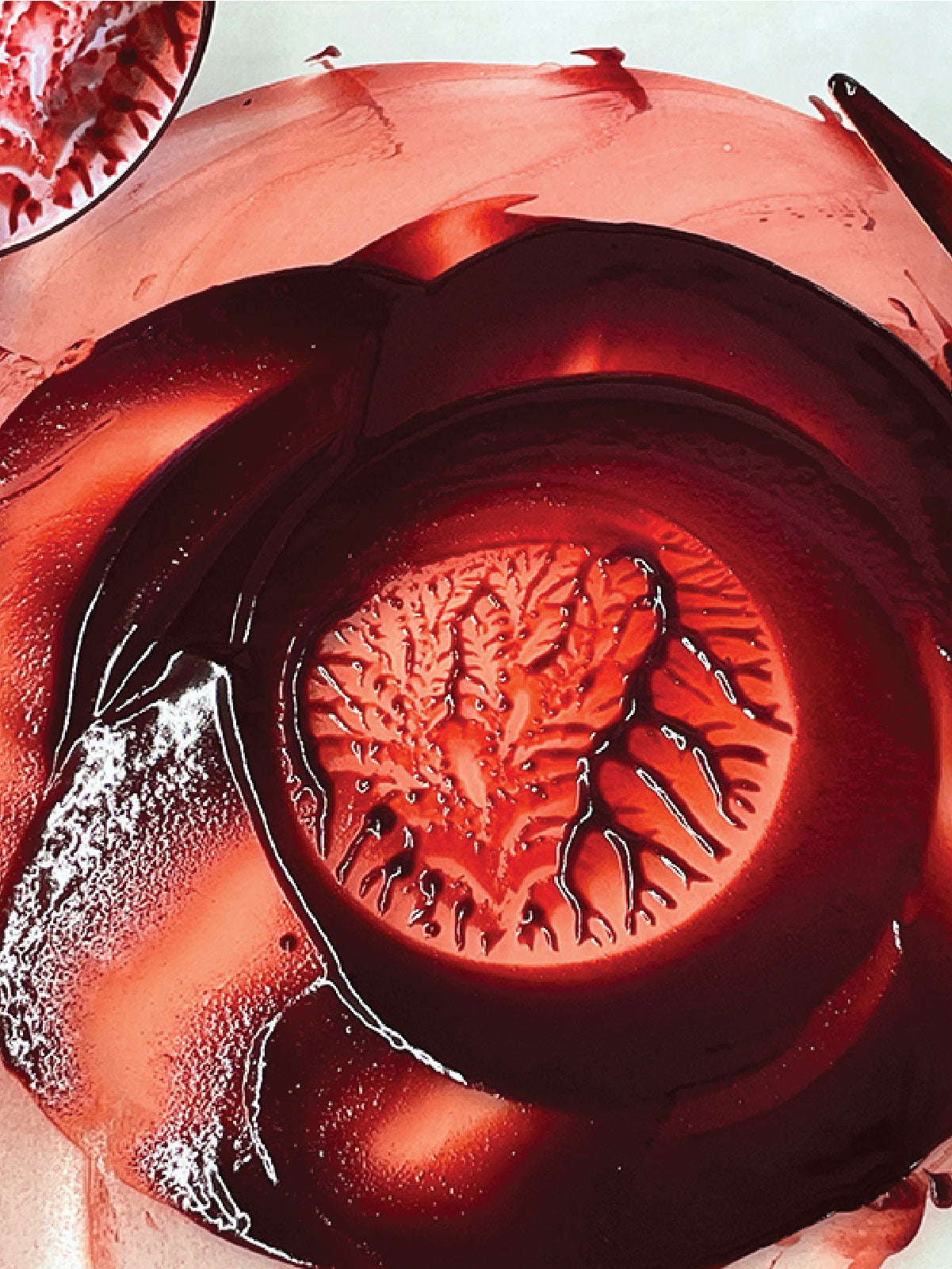 Hidden Colors: Transforming Mushroom Dyes into Pigments