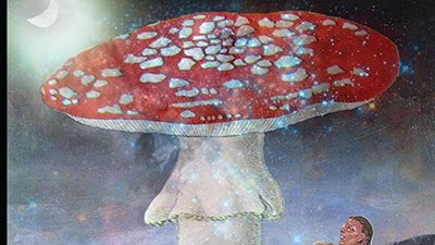 Kingdom Fungi
