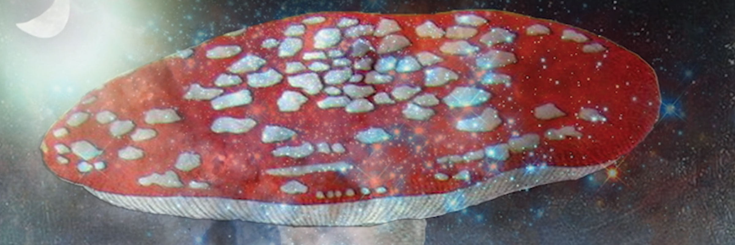 Kingdom Fungi 