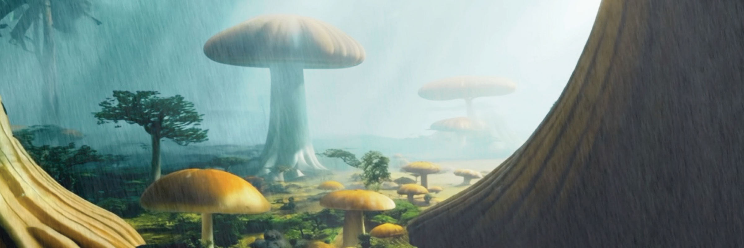Misteria del Bosque (Mystery of the Forest)