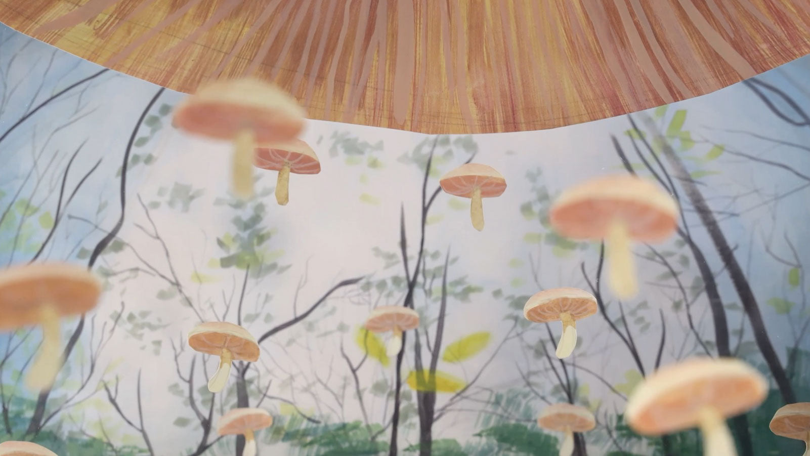 Mushrooms and Friends