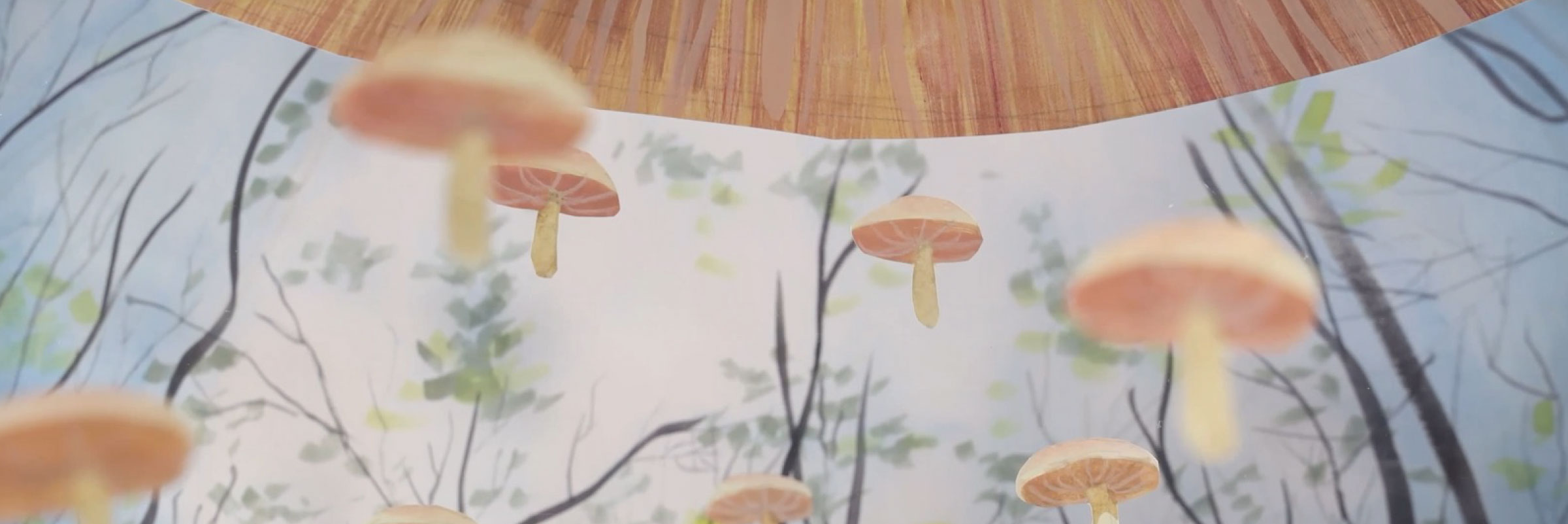 Mushrooms and Friends