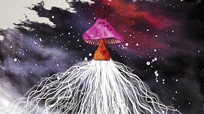 Mushrooms in Space