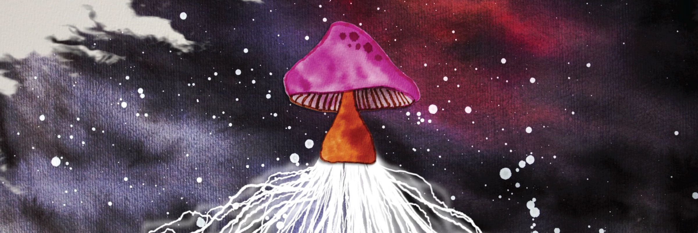 Mushrooms in Space