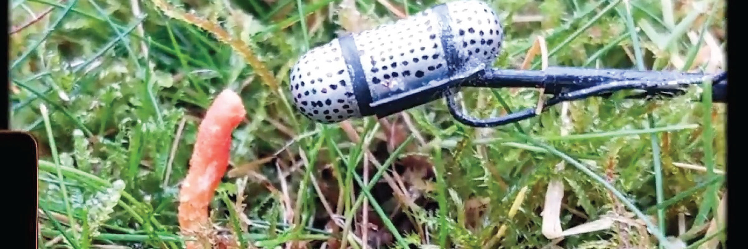 Mycoaudiology: The Lost Tapes