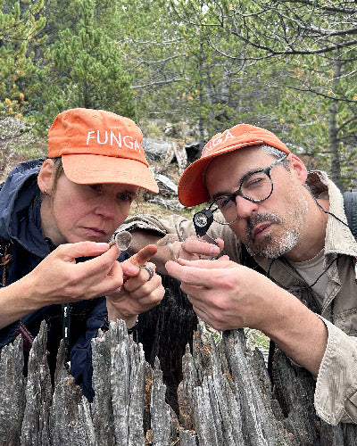 Ben Kinsley & Riitta Ikonen