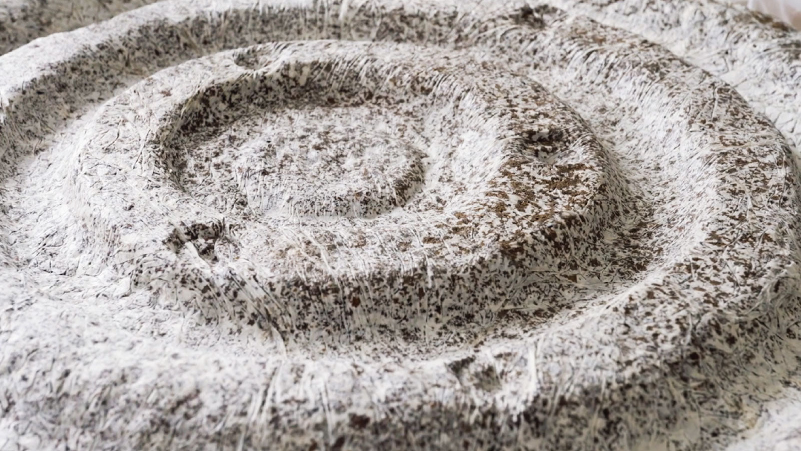 Ricochet Sculpture in Mycelium