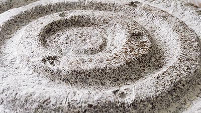 Ricochet Sculpture in Mycelium
