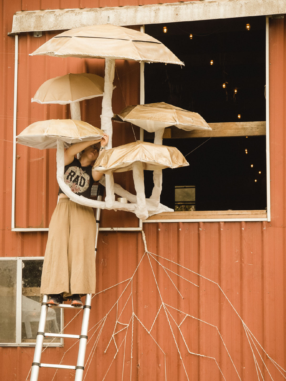 Learn From the Fungi