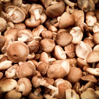 Pile of shiitake mushrooms