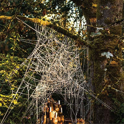 Mycelium string installation