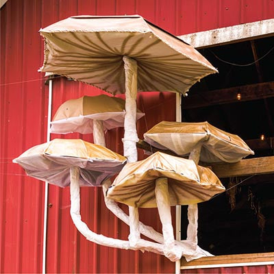 Person installing mushroom sculpture