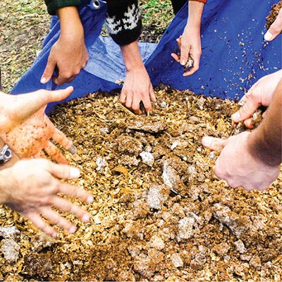 Hands mixing spawn and substrate