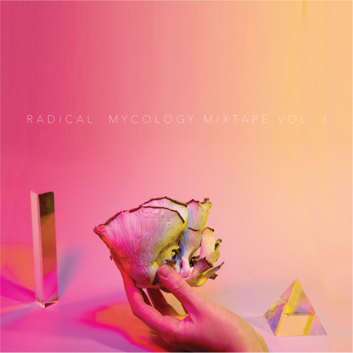 Album cover with a hand holding a colorful mushroom against a gradient pink and yellow background, featuring the text 'Radical Mycology Mixtape Vol. 1'.
