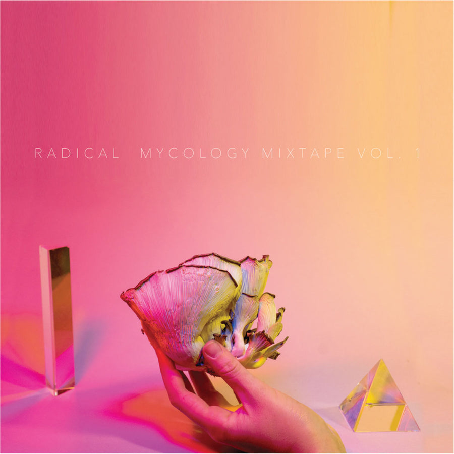 Album cover with a hand holding a colorful mushroom against a gradient pink and yellow background, featuring the text 'Radical Mycology Mixtape Vol. 1'.