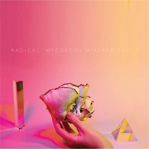 Album cover with a hand holding a colorful mushroom against a gradient pink and yellow background, featuring the text 'Radical Mycology Mixtape Vol. 1'.