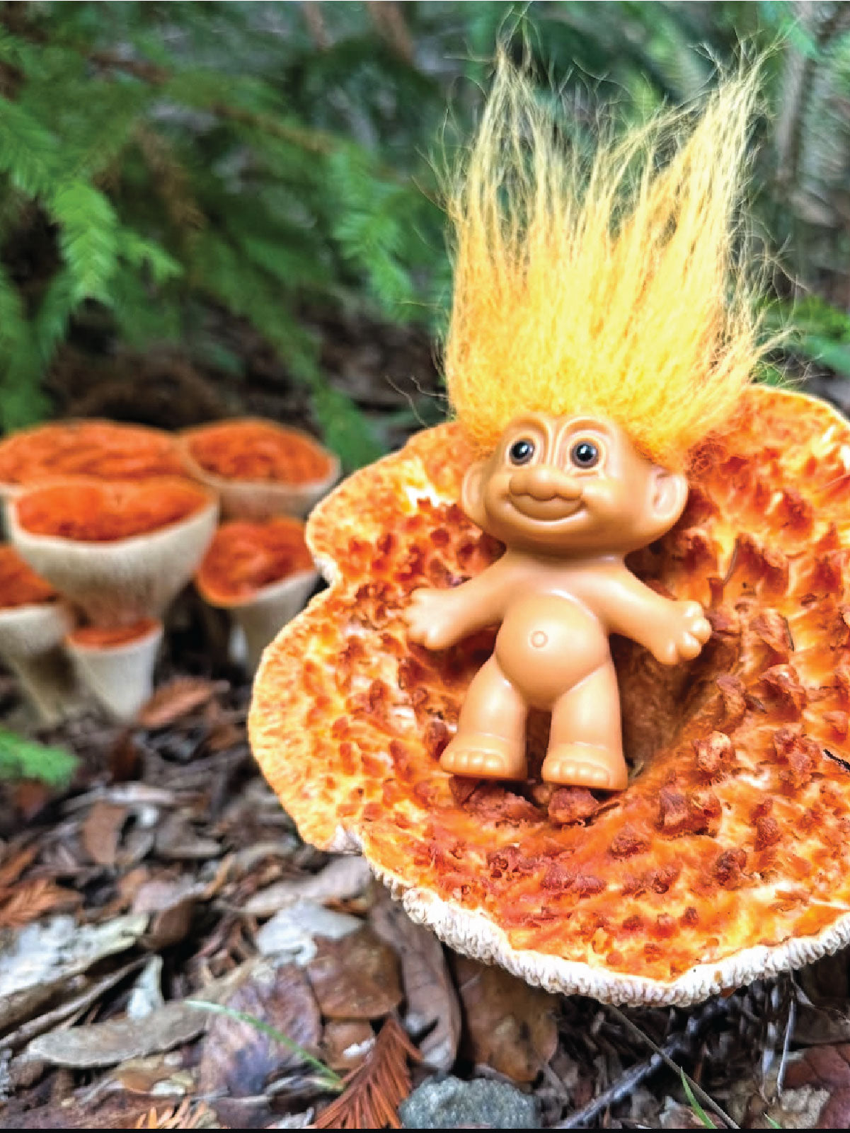 Mushroom Social Media Workshop