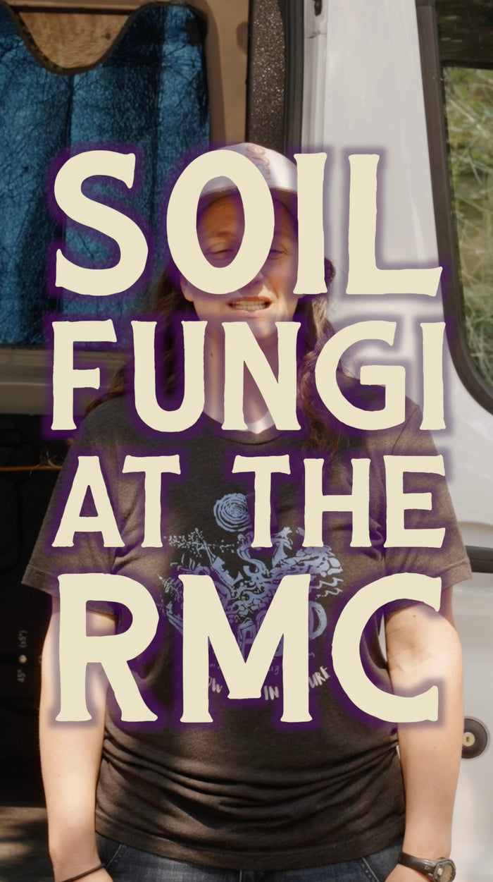 Soil Fungi Workshop Teaser