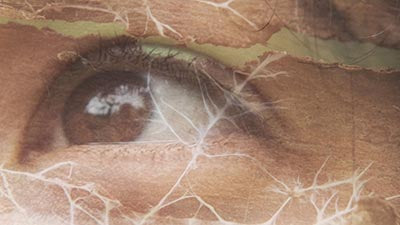 Studies on Entangled Life