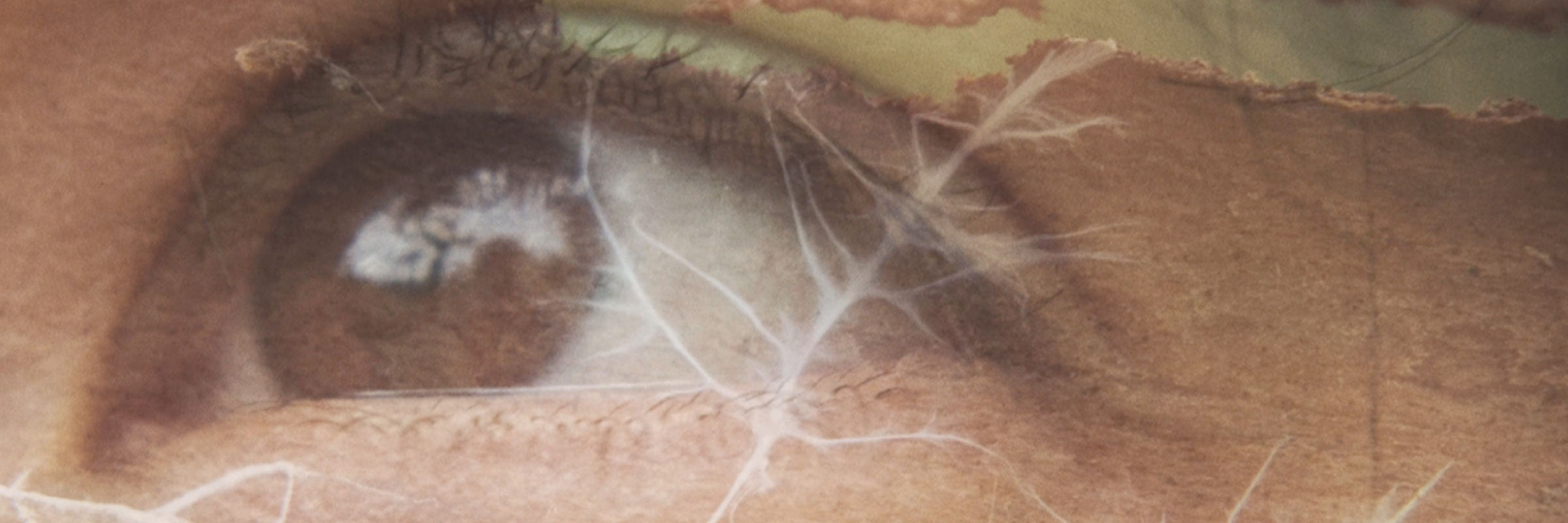 Studies on Entangled Life