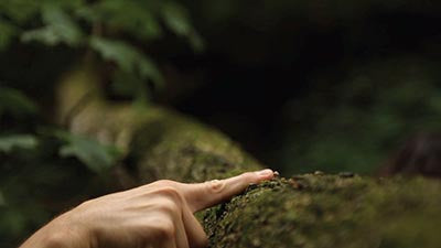 Touch: An E(rot)ic Film
