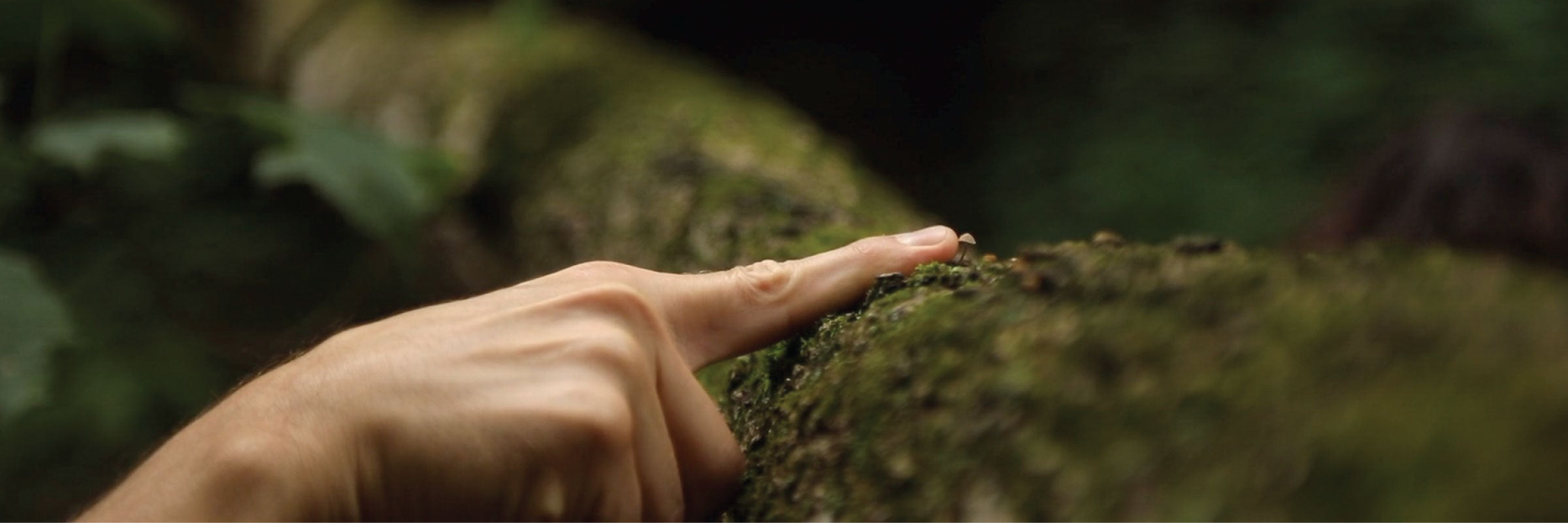 Touch: An E(rot)ic Film